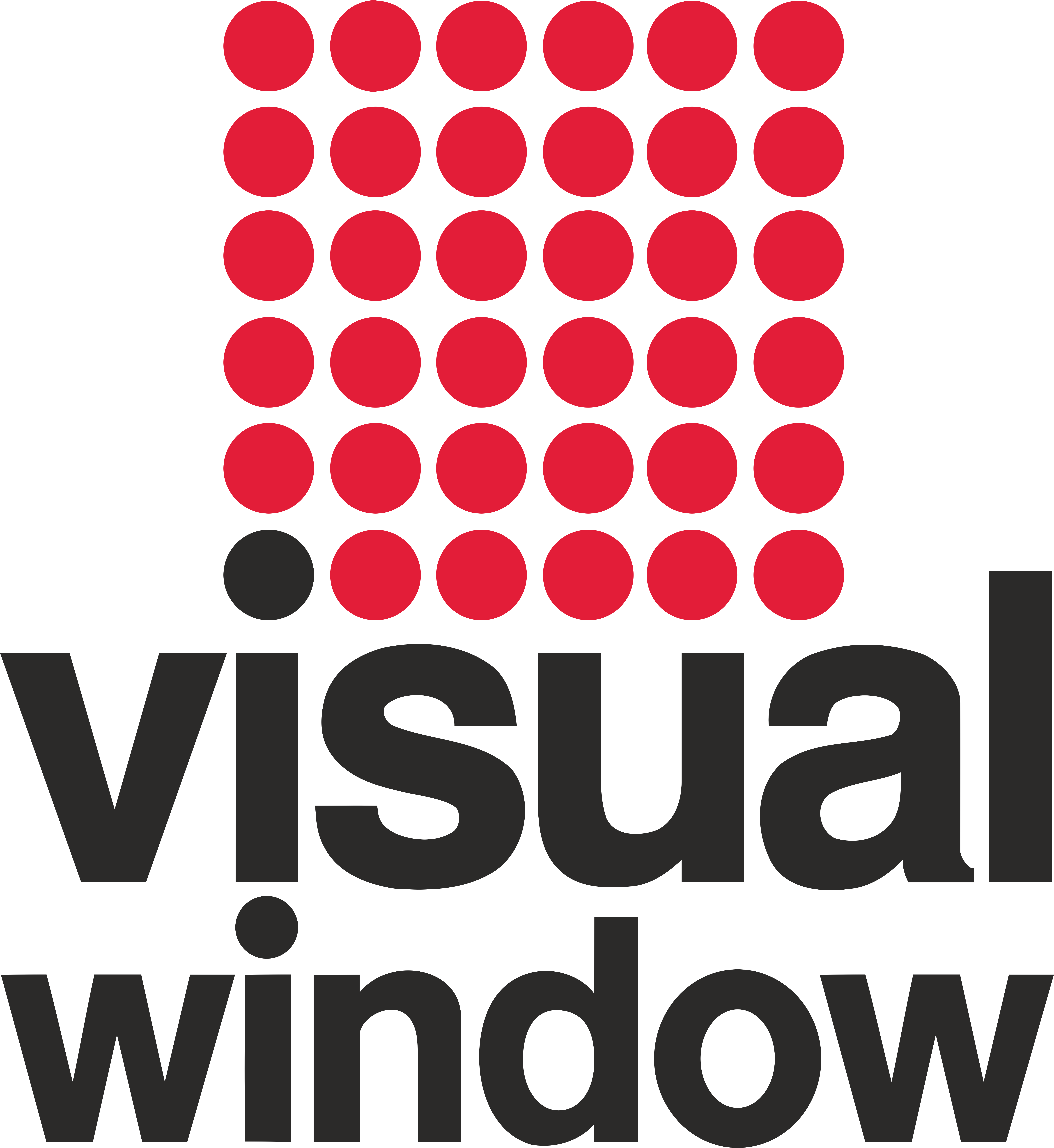 Visual Window Support Hungary Kft.